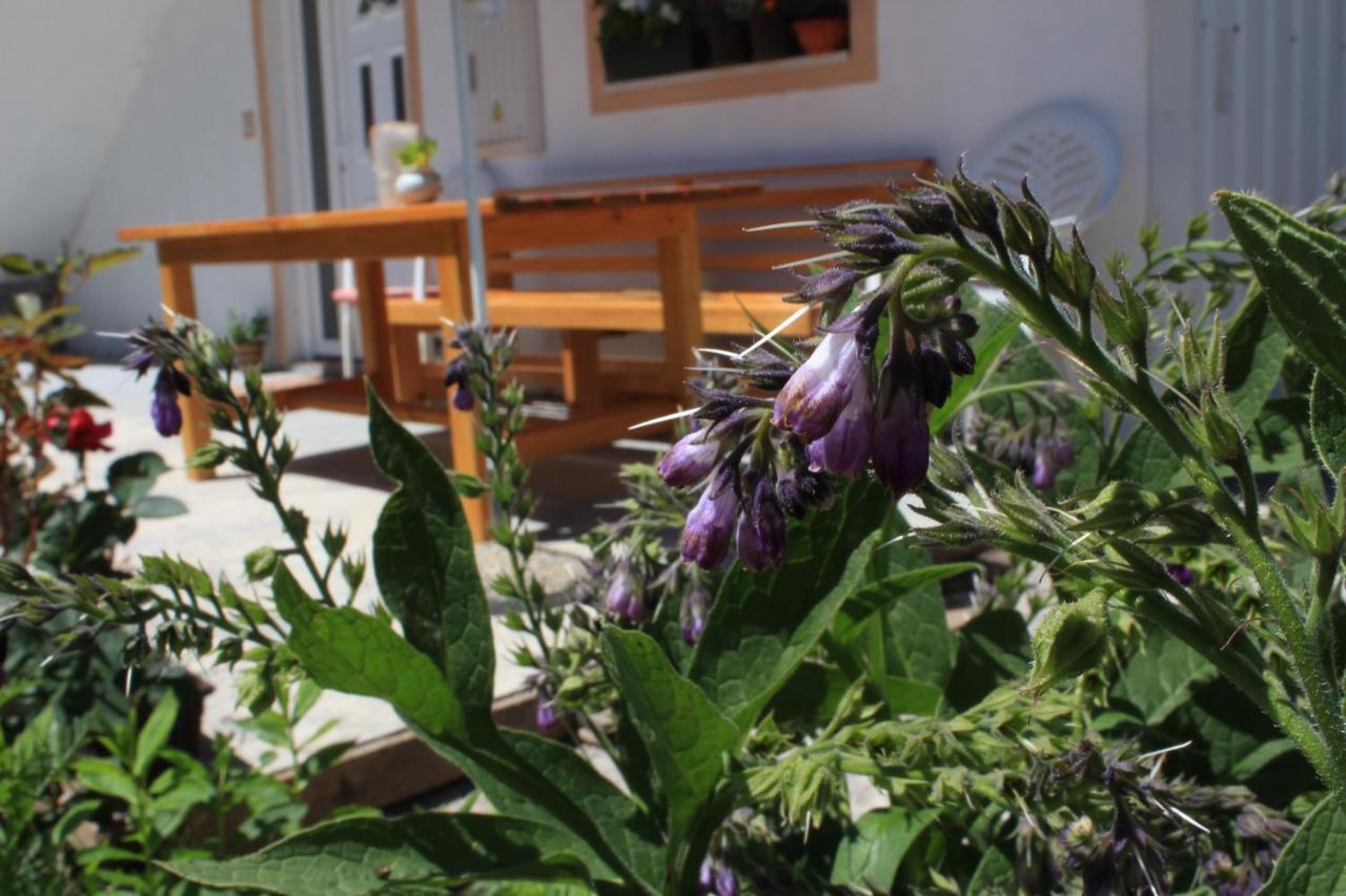 Apartment Mountain Dream Zabljak  Exterior photo