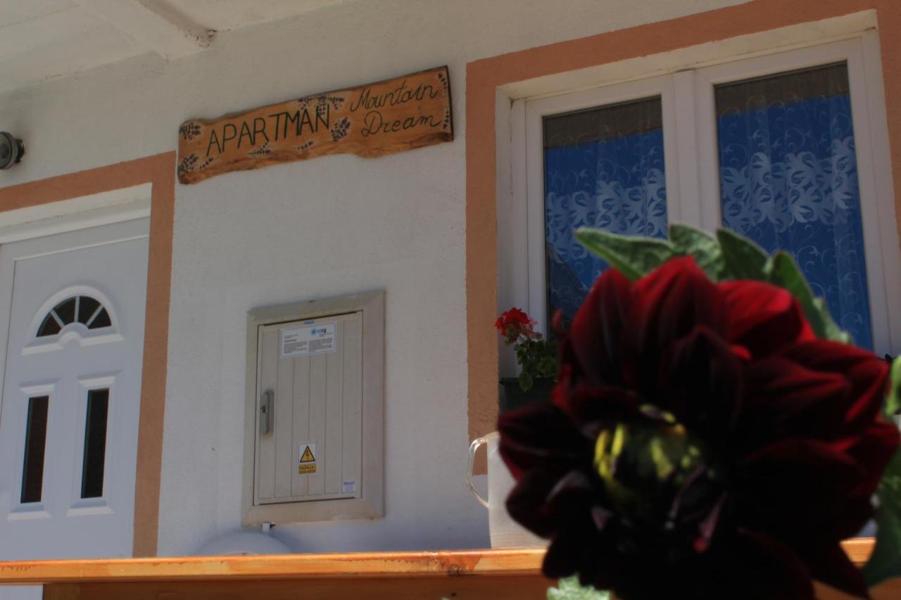 Apartment Mountain Dream Zabljak  Exterior photo