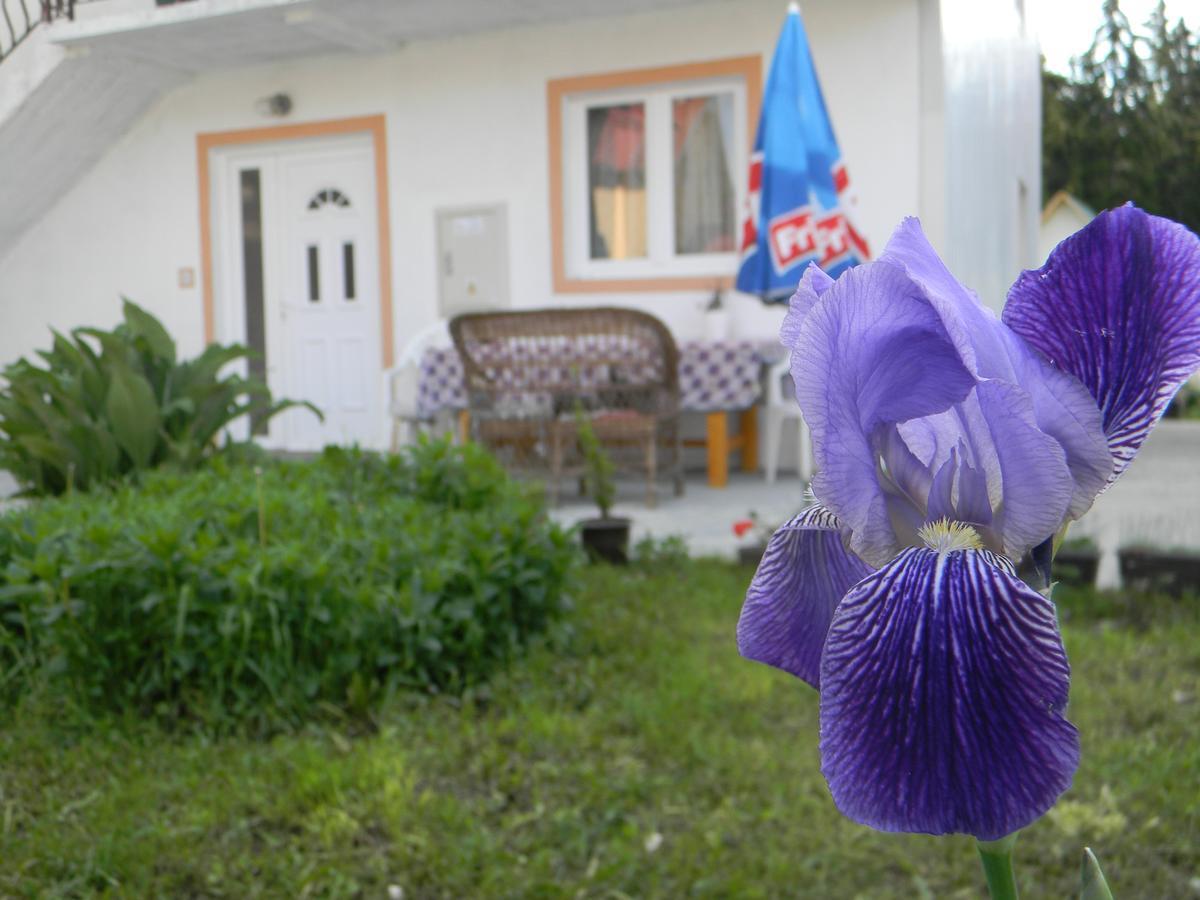 Apartment Mountain Dream Zabljak  Exterior photo