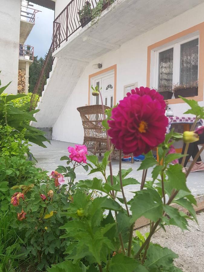 Apartment Mountain Dream Zabljak  Exterior photo